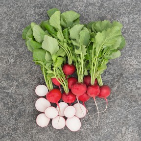 Редис Роксан F1, Bejo