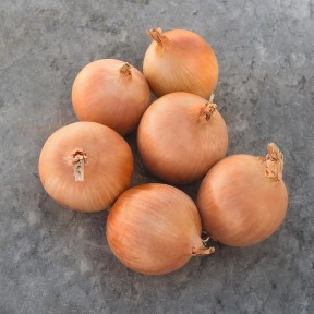 Цибуля Седона F1, Bejo