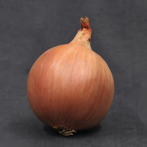 Цибуля Шерман F1, Bejo Цибуля Шерман F1, Bejo