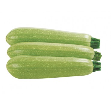 Кабачок Марселла F1, Enza Zaden