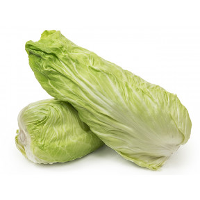 Салат радічіо Весперо F1, Enza Zaden Салат радічіо Весперо F1, Enza Zaden