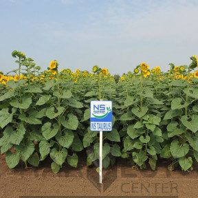 НС Таурус – соняшник, Юг Агролідер