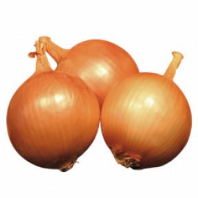 Цибуля Валентіно F1, Hazera