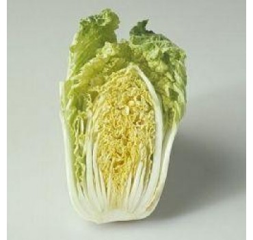 Капуста пекінська Вітімо F1, Hazera