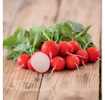 Редис Меліто F1, Hazera