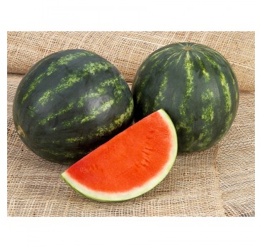 Кавун Екстезі F1, Hazera