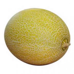 Диня Мейрон F1, Hazera