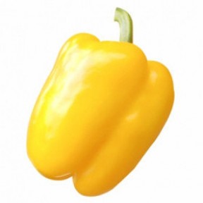 Перець солодкий Герардо F1, Hazera