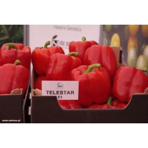 Перець солодкий Телестар F1, Hazera