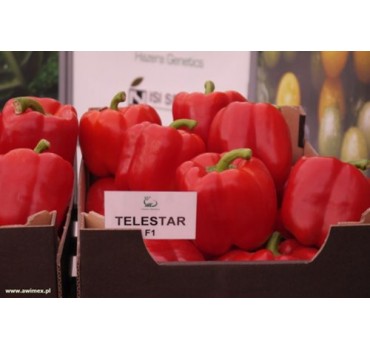 Перець солодкий Телестар F1, Hazera