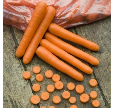 Морква Болеро F1, Vilmorin