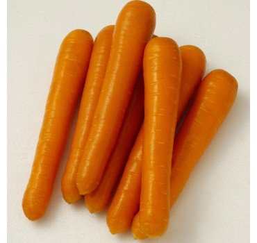 Морква Маестро F1, Vilmorin