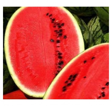 Кавун Астрахан F1, Syngenta