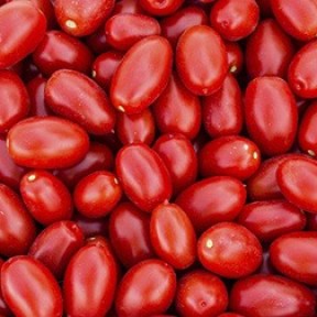 Томат Санміно F1, Syngenta