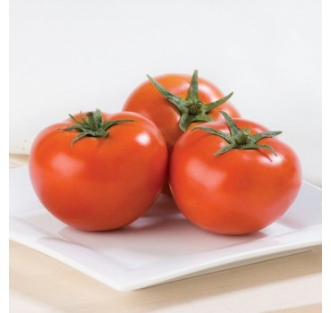 Томат Терра Кота F1, Syngenta