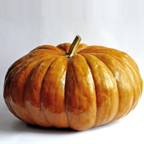 Гарбуз Меррі Дол F1, LibraSeeds (Erste Zaden)