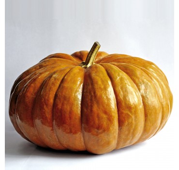 Гарбуз Меррі Дол F1, LibraSeeds (Erste Zaden)