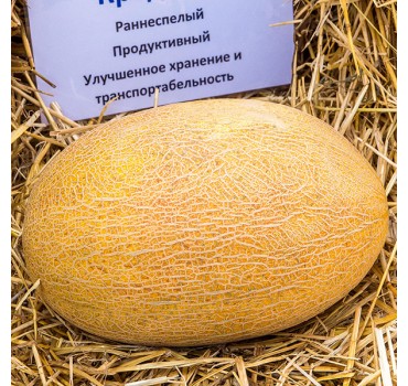 Диня Кредо F1 | Kredo F1, Clause