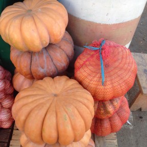 Тыква Мускат де Прованс | Muskat de Provans, Clause