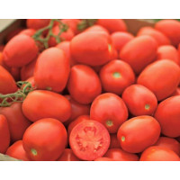 Томат П'єтра Росса F1 | Petra Rossa F1, Clause