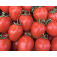 Томат Колібрі F1 | Colibri F1, Clause