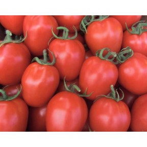 Томат Колібрі F1 | Colibri F1, Clause