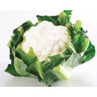 Капуста цвітна Майбах F1 | Maybah F1, Clause