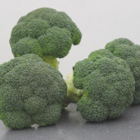 Капуста броколі Корос F1 | Koros F1, Clause