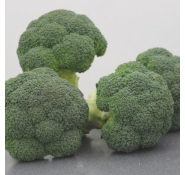 Капуста броколі Корос F1 | Koros F1, Clause