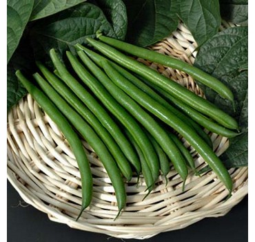 Квасоля Крокет | Kroket, Clause