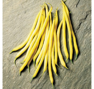 Квасоля Фруідор | Fruidor, Clause