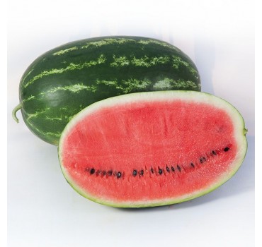 Кавун KS 632 F1, Kitano Seeds