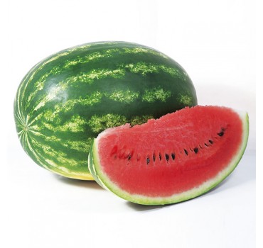 Кавун Найсі (KS 638) F1, Kitano Seeds