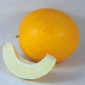 Диня KS 7066 F1, Kitano Seeds Диня KS 7066 F1, Kitano Seeds