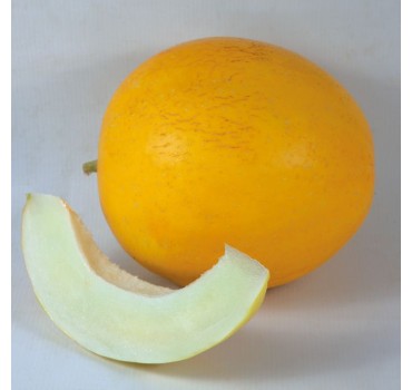 Диня KS 7066 F1, Kitano Seeds