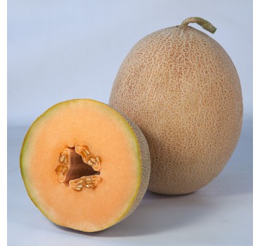 Диня KS 6147 F1, Kitano Seeds