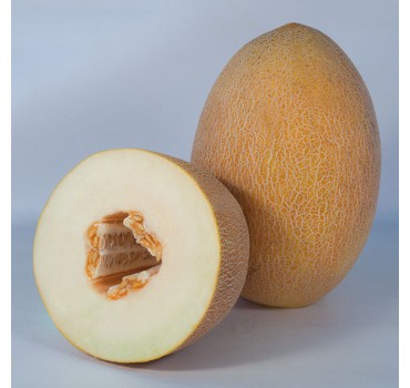 Диня KS 6188 F1, Kitano Seeds