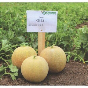 Диня KS 33 F1, Kitano Seeds Диня KS 33 F1, Kitano Seeds