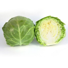 Капуста KS 1450 F1, Kitano Seeds