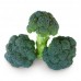Капуста Кеззі F1, Kitano Seeds