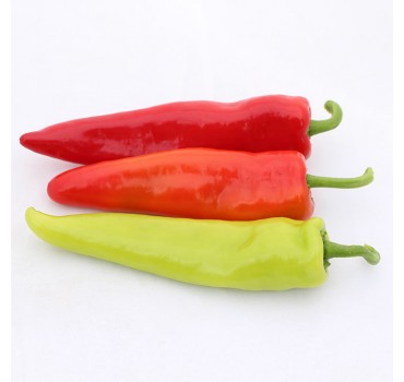 Перець Кампай F1, Kitano Seeds