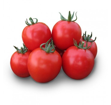Томат Асвон F1, Kitano Seeds