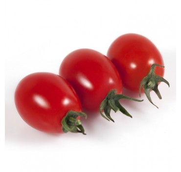 Томат KS 3640 F1, Kitano Seeds