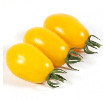 Томат KS 3690 F1, Kitano Seeds