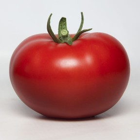 Томат KS 301 F1, Kitano Seeds