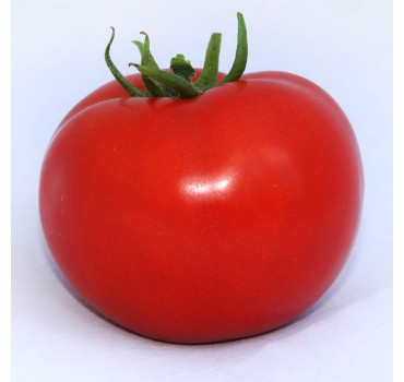 Томат Хітомакс F1, Kitano Seeds