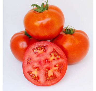 Томат Джем F1, Ergon seeds
