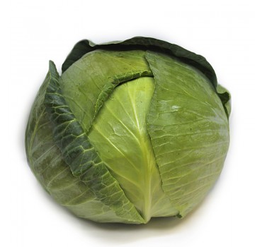 Капуста ES 2144 F1, Ergon seeds