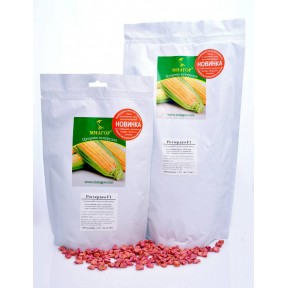 Роттердам F1 – цукрова кукурудза, МНАГОР