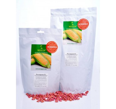 Роттердам F1 – цукрова кукурудза, МНАГОР